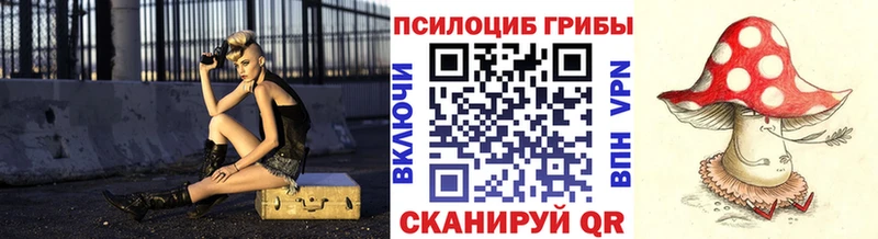 купить наркоту  Чита  Псилоцибиновые грибы ЛСД 