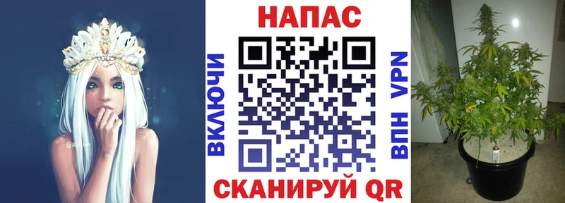 Каннабис конопля Чита